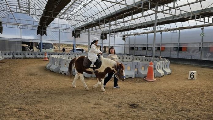 [안동=뉴시스] 포니힐링농원 내부. (사진=경북도 제공) 2024.02.13 *재판매 및 DB 금지
