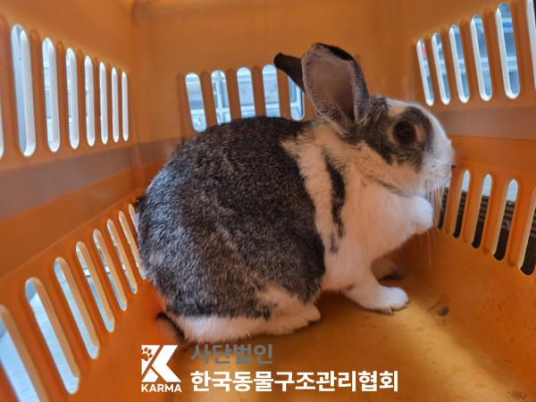 기타축종